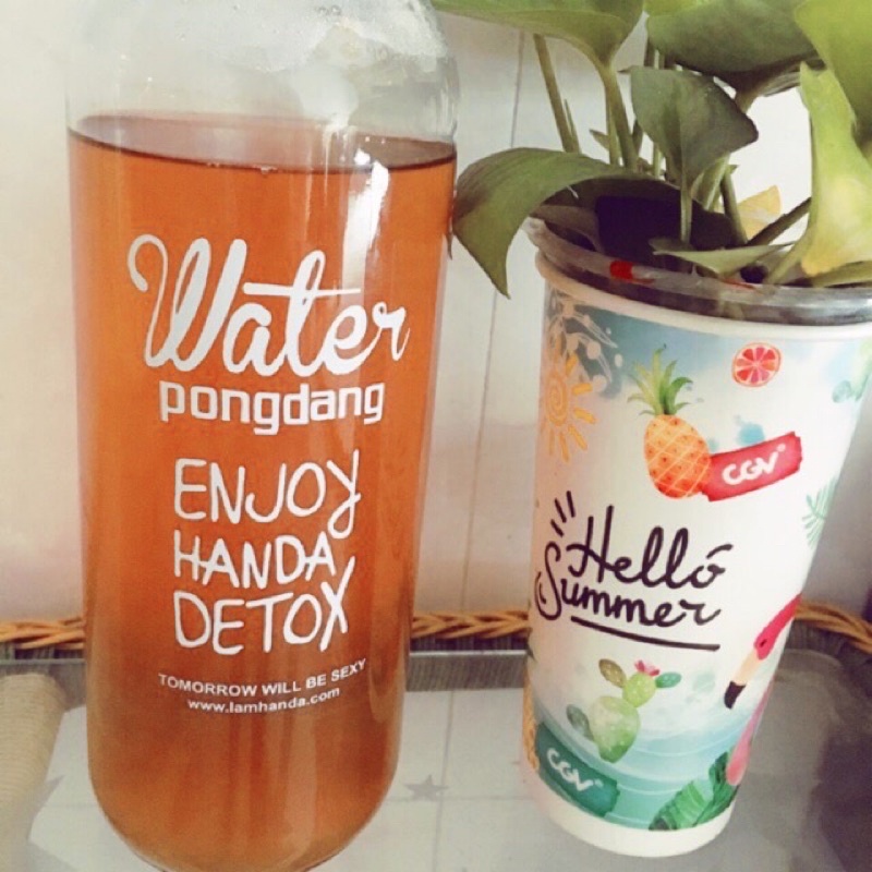 Trà Kombucha F1 Nguyên Chất - Trà lên men vi sinh chứa probiotics bảo vệ sức khoẻ - Chai nhựa 950ml