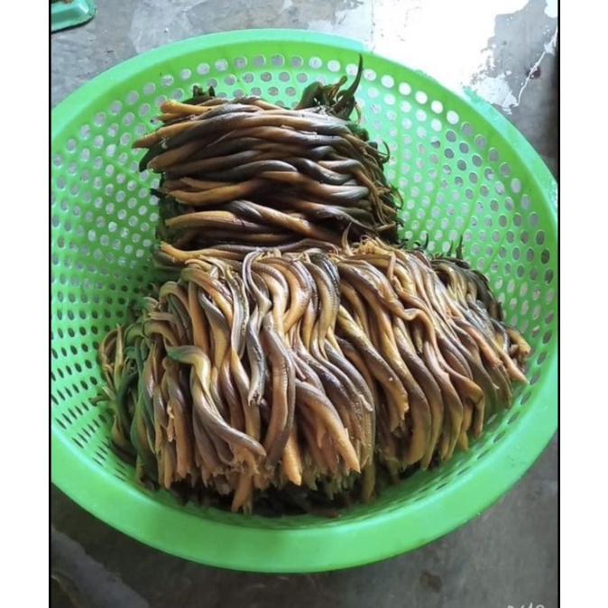 500gr Lươn đồng làm sẵn lọc thịt - Tặng kèm nước cốt xương lươn