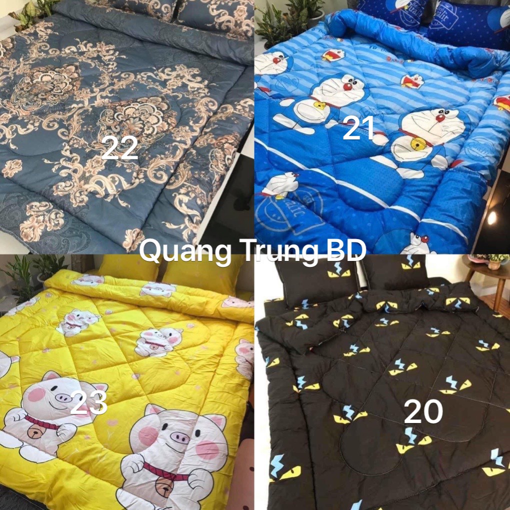 Bộ chăn ga gối 05 món Poly cao cấp Hot nhất 2021 | BigBuy360 - bigbuy360.vn