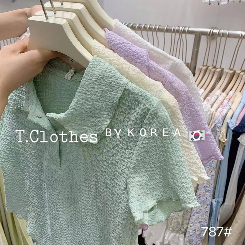 Áo Croptop viền cổ bẻ Y.8 (787) (Ảnh/Video tự chụp)