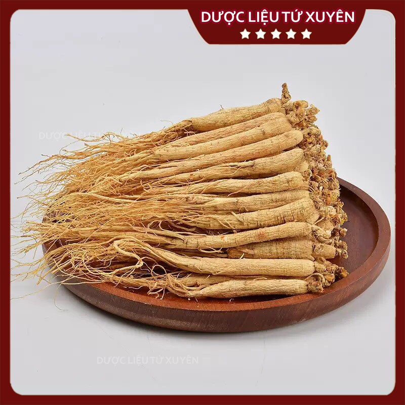 Nhân Sâm Cát Lâm  Size To, Đẹp, Thơm Hộp to 60g