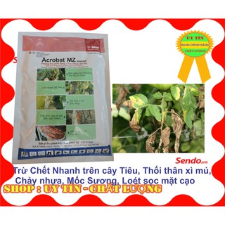 Trừ Nứt Thân Xì Mũ, Loét sọc mặt cạo, Chết Nhanh trên tiêu, Acrobat MZ gói 100gr Phòng trừ phổ rộng, Tác động dài lâu