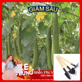 Hạt Giống Mướp Hương Thái Lan - 10 Hạt / Gói - Tặng Kèm Bộ Dụng Cụ Trồng Cây Mini
