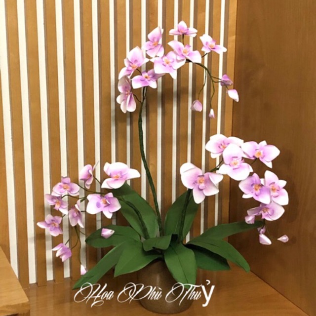 Chậu Lan làm thủ công bằng giấy mỹ thuật
