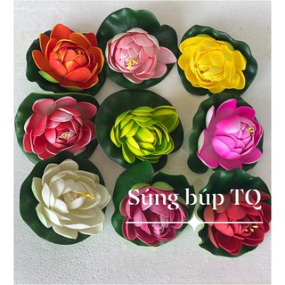 Hoa Sen ,  hoa sứ, thả nước đủ loại