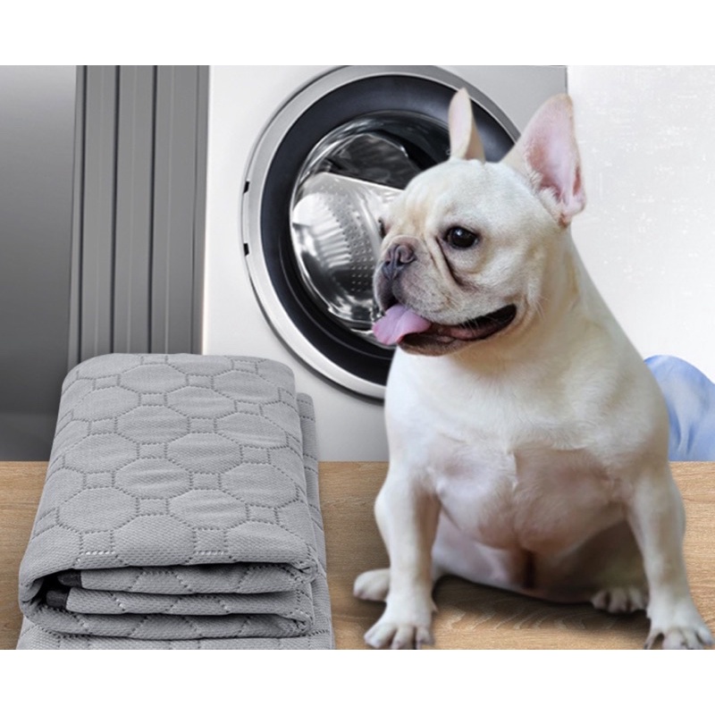 Thảm đi vệ sinh cho thú cưng có thể tái sử dụng nhiều lần – Thảm lót chống thấm chuyên dụng cho chó mèo siêu tiết kiệm