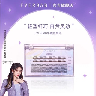 Hộp mi giả tách sợi Everbab