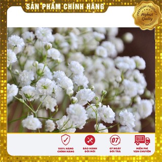 Bộ gói hạt giống Baby mix