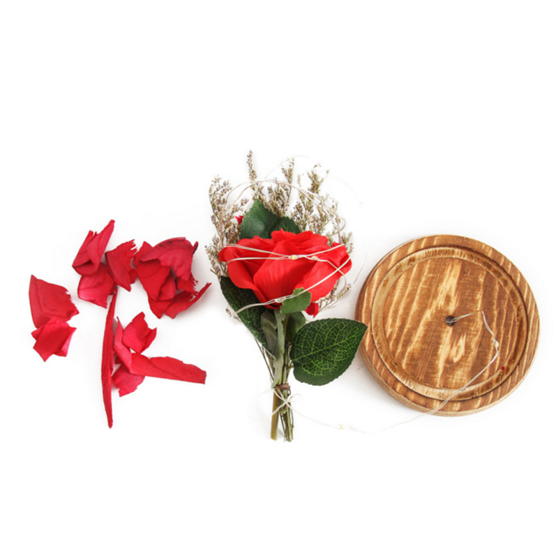 WR Birthday Gift Beauty and The Beast Red Rose W/ Fallen Petals In A Glass Dome on A Wooden Base for Christmas Valentine's Gifts HBEJ