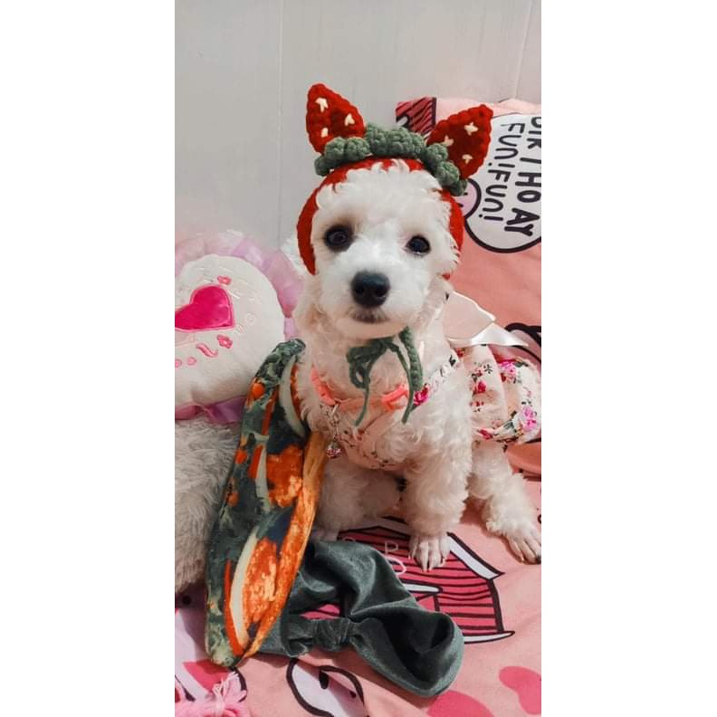 Nón len cho thú cưng NÓN PÉ DÂU handmade cho PET chó, mèo,. thỏ, chuột ú....