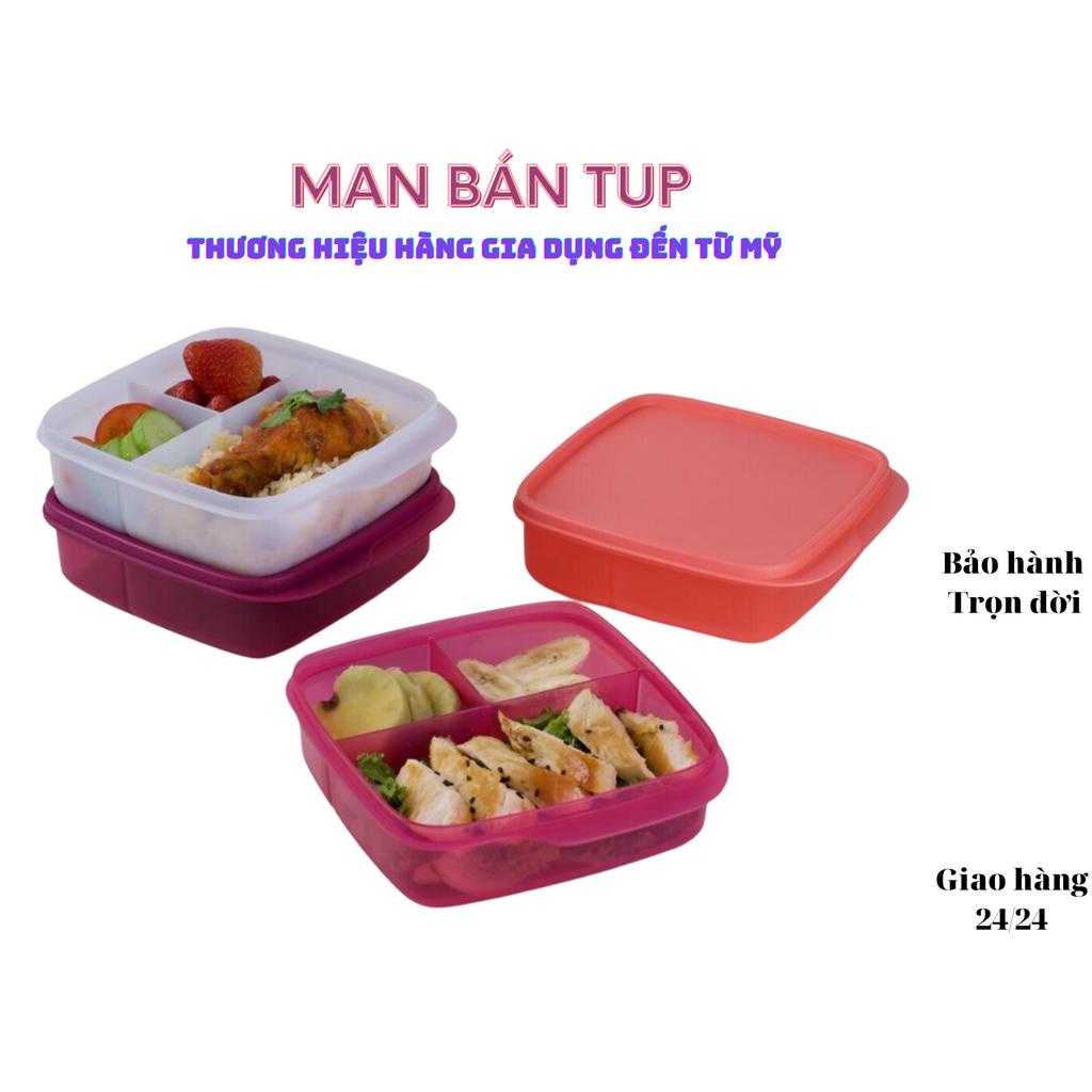 HỘP CƠM LOLLY TUP MÀU MỚI 2023, màu ngẫu nhiên, 01 hộp