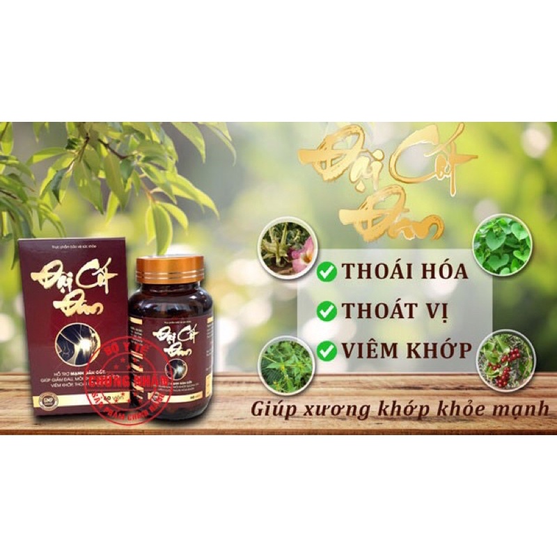 ĐẠI CỐT ĐAN 3 Tem - GIẢI PHÁP XƯƠNG KHỚP CHO MỌI NHÀ