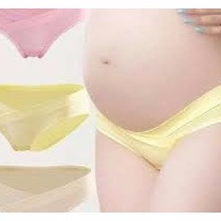 Combo 5 quần lót bầu