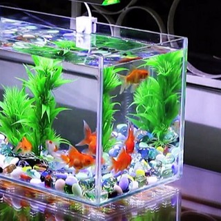 Vi sinh làm sạch hồ thủy sinh của BIO-vi sinh làm trong nước-vi sinh BIO(1 bịch)