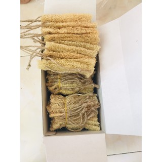 xơ mướp tắm/ rửa chén hàng đẹp