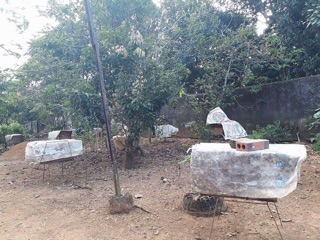 MẬT ONG NGUYÊN CHẤT