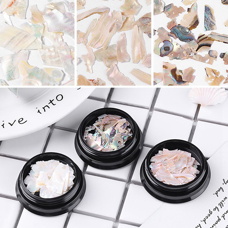 [Hàng mới về] Hộp đá vỏ sò tự nhiên trang trí móng tay