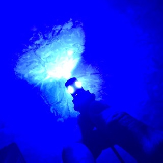 Đèn led xi nhan đề mi xe máy chân T10 (giá 1 bóng)