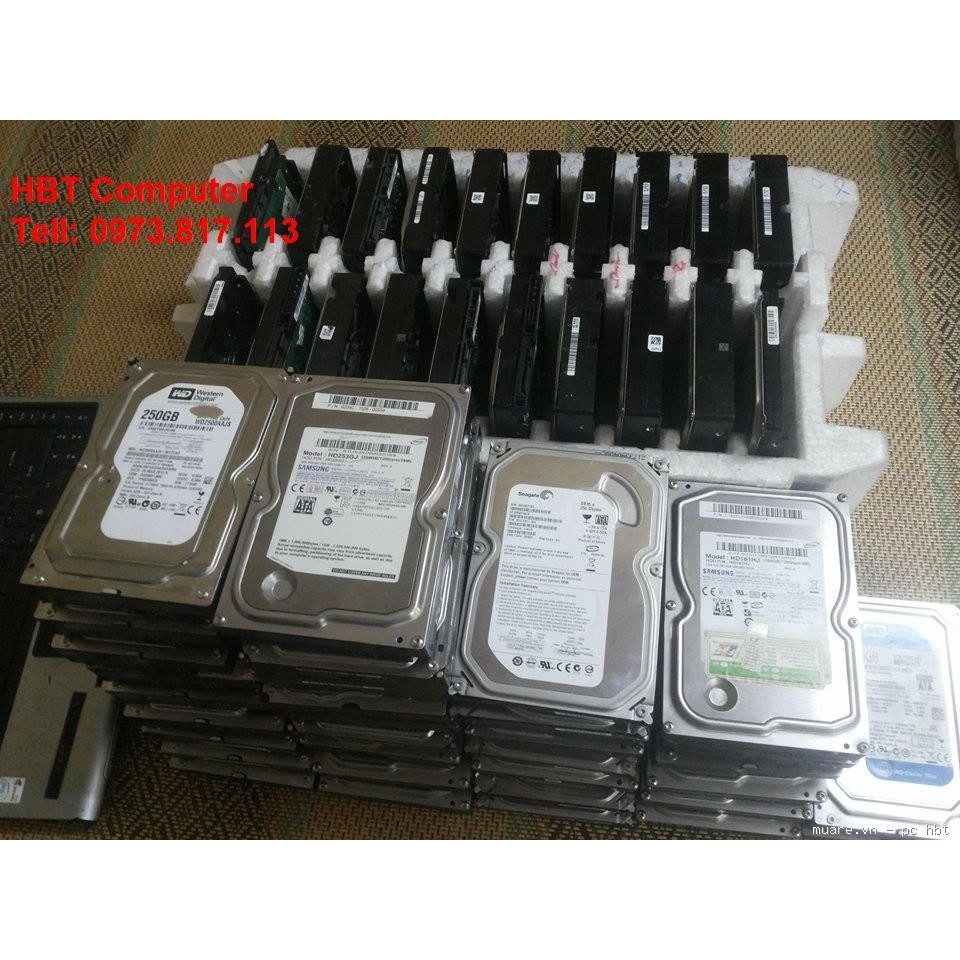HDD pc 80gb 160gb 250gb 320gb 500gb đẹp giá tốt | BigBuy360 - bigbuy360.vn