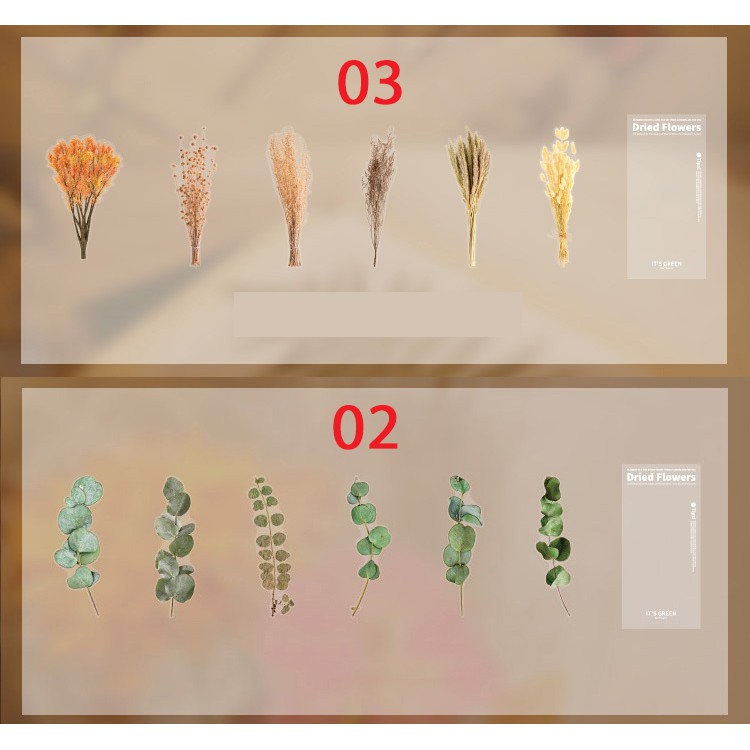 Sticker dán trang trí hình hoa lá