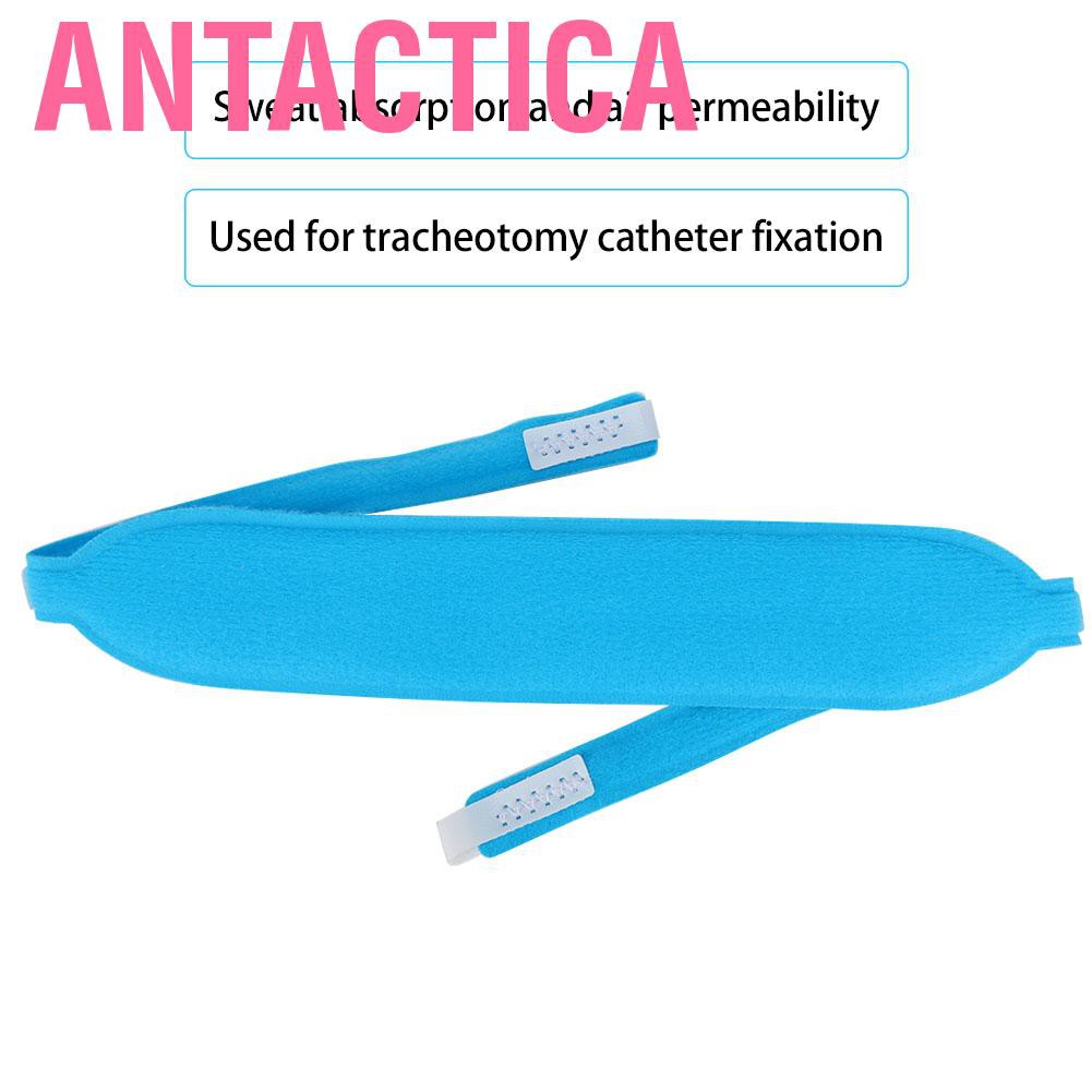 Dây Đai Antactica Cố Định Kiêm Giá Đỡ Râu