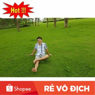 (SALE LỚN) 20 gam hạt giống cỏ nhung nhật