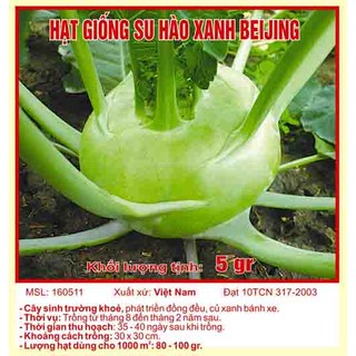 Hạt giống su hào