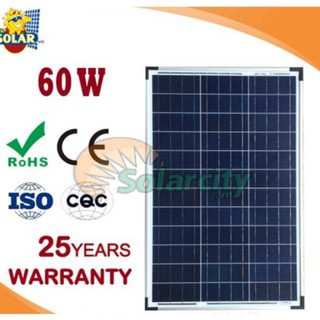 Tấm pin năng lượng mặt trời 60w Poly