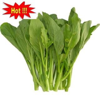Hạt giống Cải Ngồng Mập 50 hạt