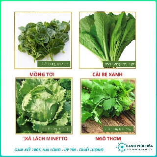 Combo 4 Hạt Giống Ngò Thơm 10gr - Xà Lách 2gr - Cải Bẹ Xanh15 gr- Mồng Tơi 5gr CaNaAn Gói Tiết Kiệm