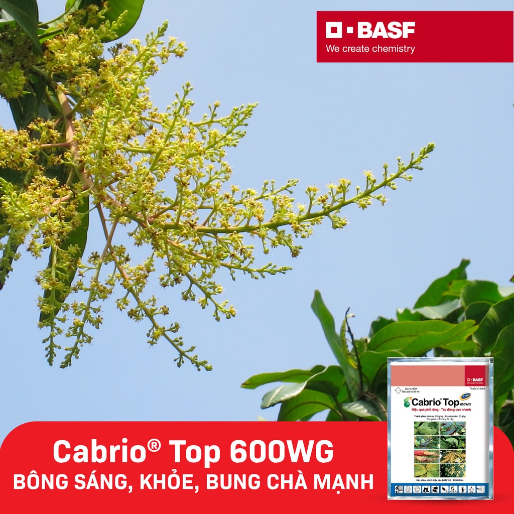 Cabrio Top 600WG  | Hiệu quả phổ rộng, tác động cực nhanh