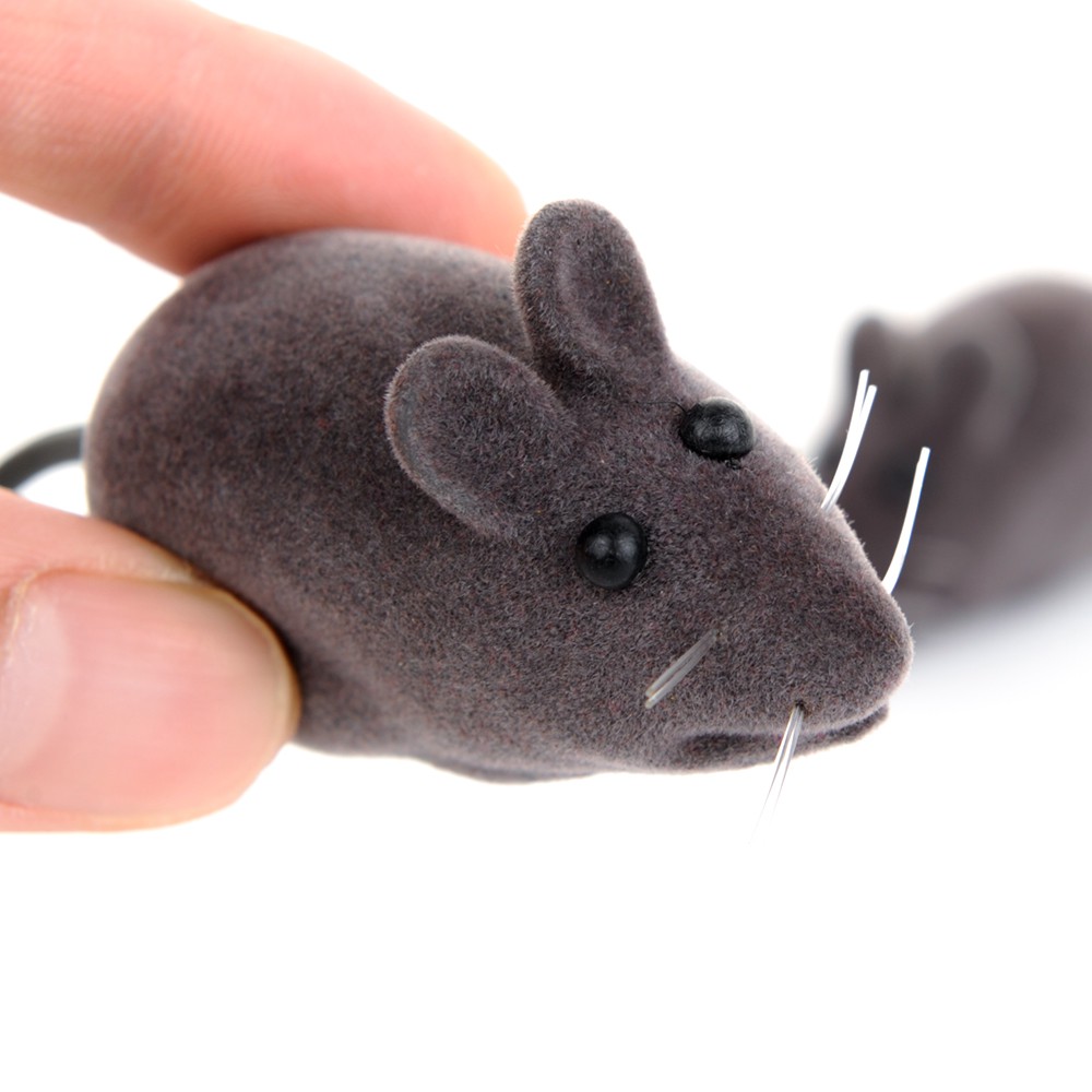 ĐỒ CHƠI MÈO CHUỘT