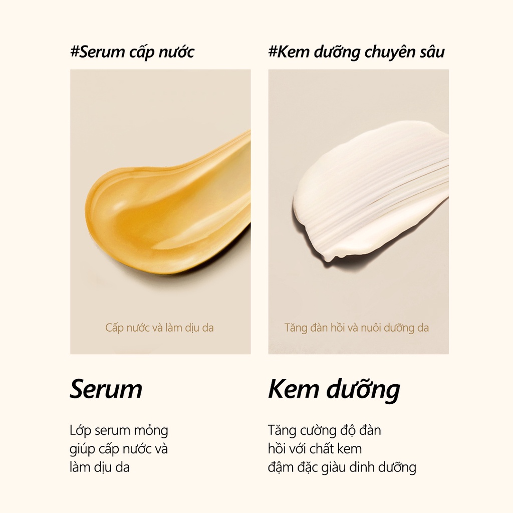 [d'Alba Official] Serum và kem dưỡng 2 ngăn nấm Truffle trắng d'Alba White Truffle Double Serum & Cream 70g