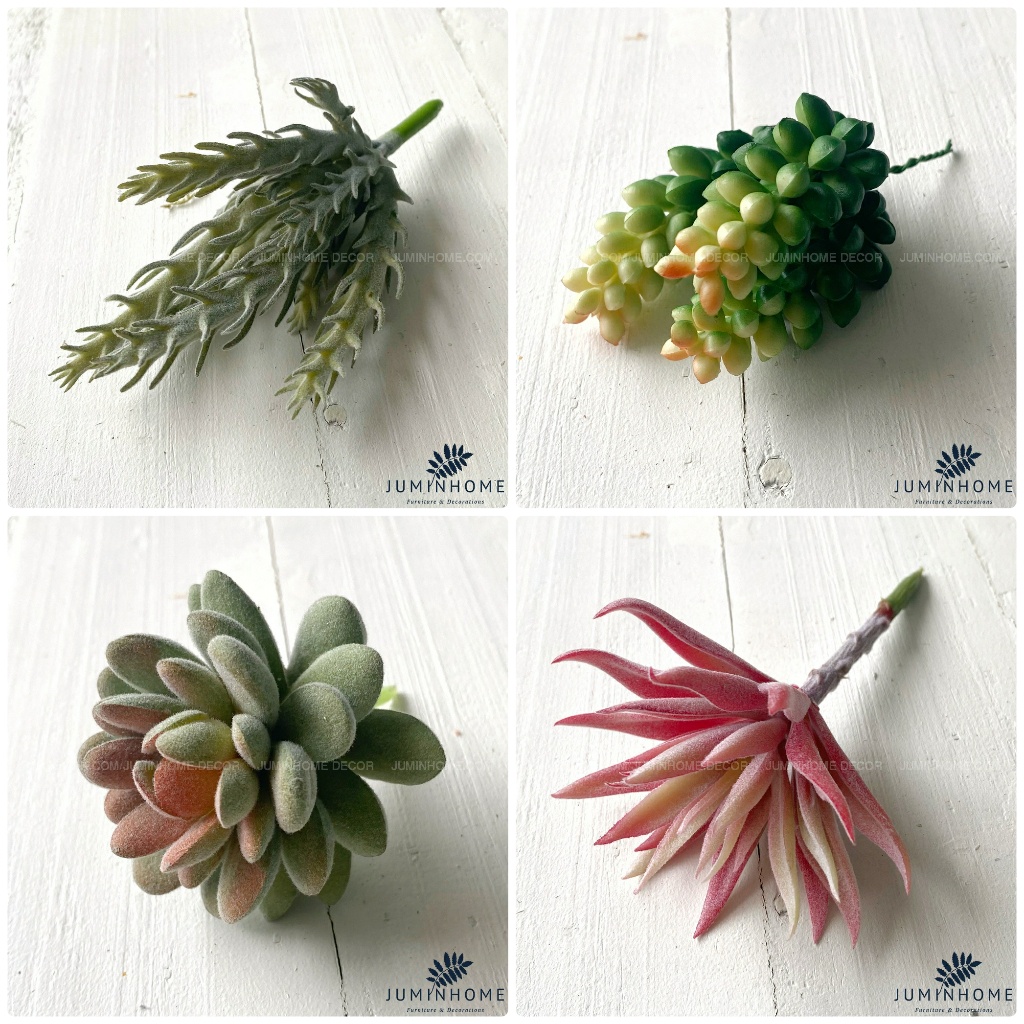 Hoa trang trí Xương Rồng giả Trang trí Nội thất Sen đá, Cây giả decor trang trí nhà cửa chậu hoa giả trang trí
