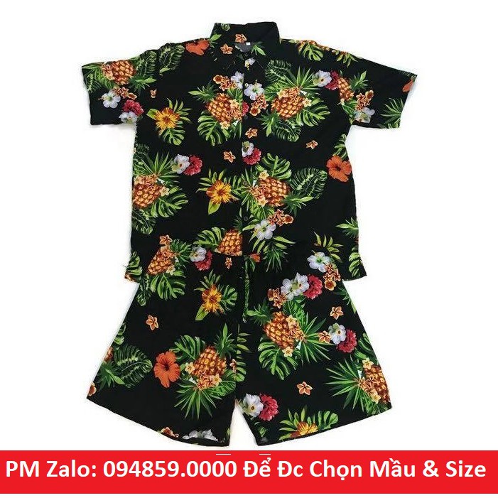 Bộ trái cây đi biển