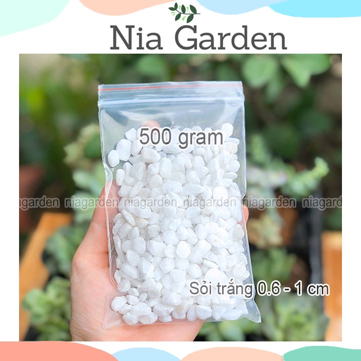 (500gr) Sỏi trắng tự nhiên size 0.6 - 1cm trang trí chậu cây cảnh hồ cá terrarium Nia Garden N6