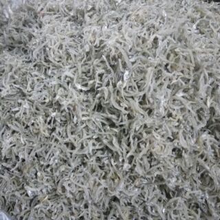 Cá cơm sữa 1kg khô