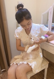 Đầm Xoè Hoa Cúc Nổi Cổ Bèo
