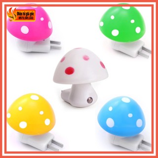 Đèn ngủ cảm ứng hình cây nấm