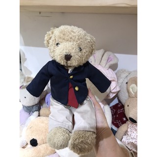 Gấu teddy cao cấp 35-40cm