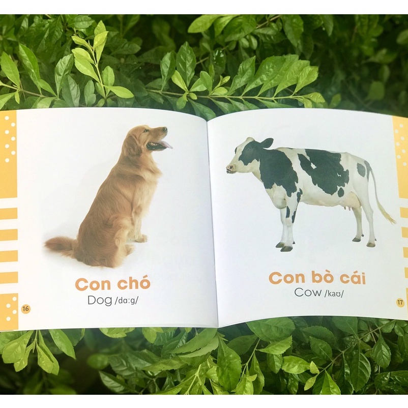 Sách - Từ Điển Bằng Hình Cho Bé (Bộ 6 quyển) - Quyển lẻ tùy chọn