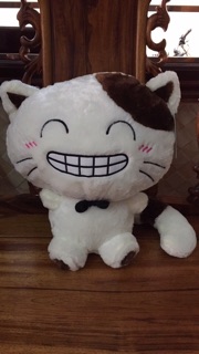 Mèo MengMeng 4 sắc thái