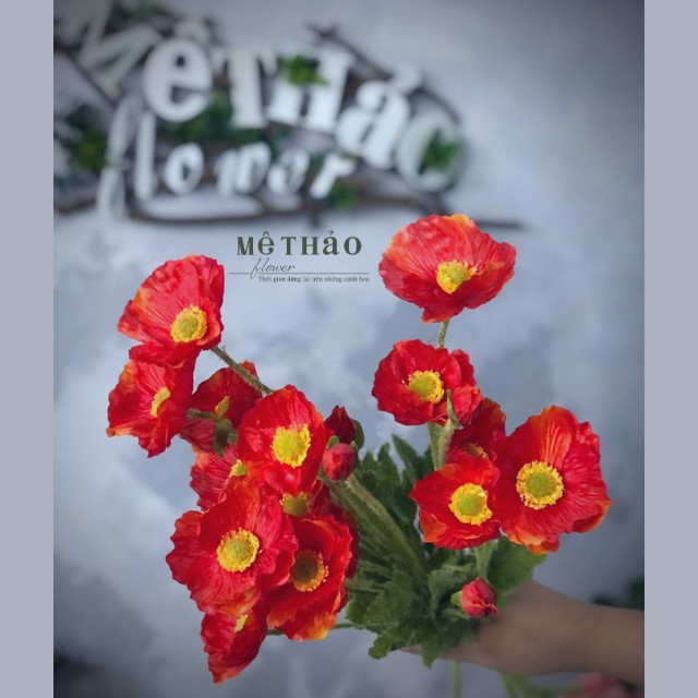 [Ảnh shop chụp] Chùm Hoa Poppy Giả Trang Trí Nội Thất, Decor Phòng Khách, Quán Cafe Mê Thảo Flower