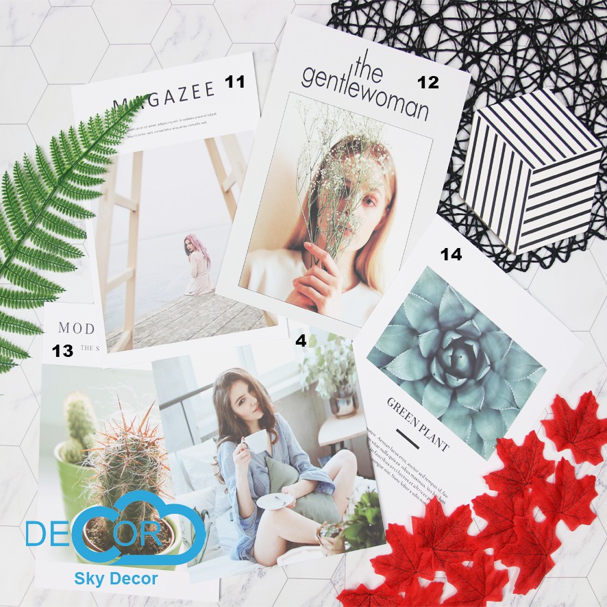 BÌA 2 MẶT TẠP CHÍ, POSTER MẪU 1 ĐẾN 20 TRANG TRÍ NHÀ CỬA, ĐẠO CỤ CHỤP ẢNH SẢN PHẨM - Sky Decor