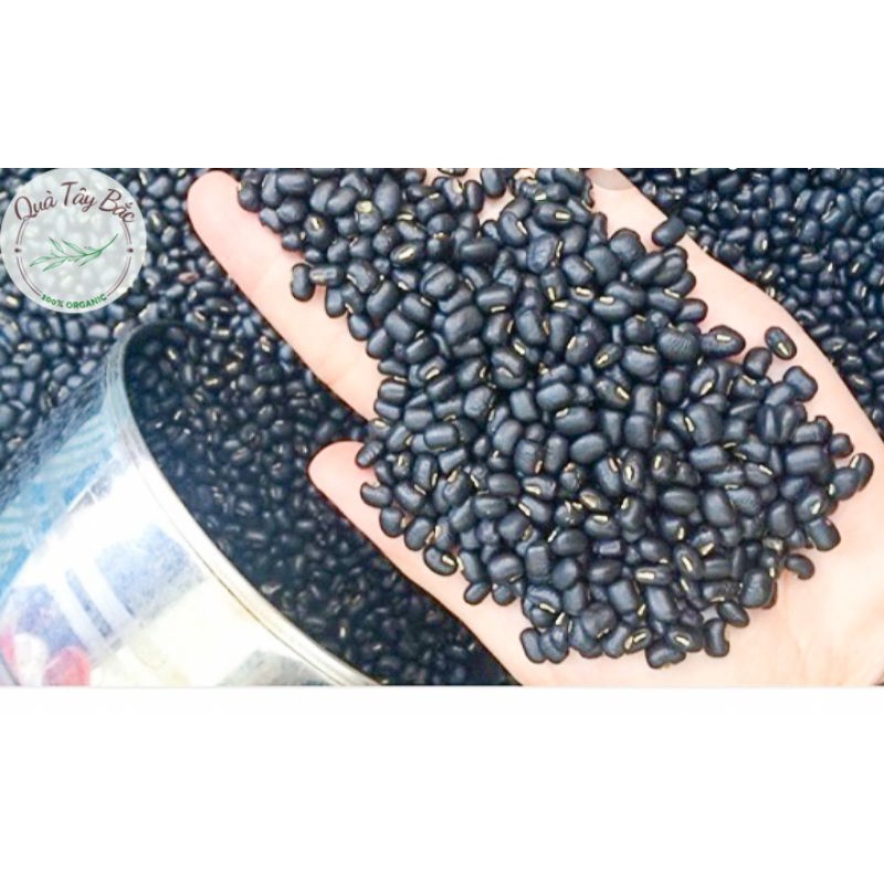 Đỗ đậu đen xanh lòng Vùng cao Yên Bái sạch thơm ngon 1kg | BigBuy360 - bigbuy360.vn