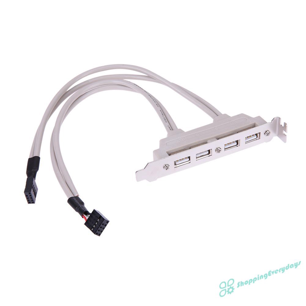 Dây Cáp Chuyển Đổi Cổng Usb 2.0 Sang Cổng Bo Mạch Chủ 9pin 4 Cổng | BigBuy360 - bigbuy360.vn