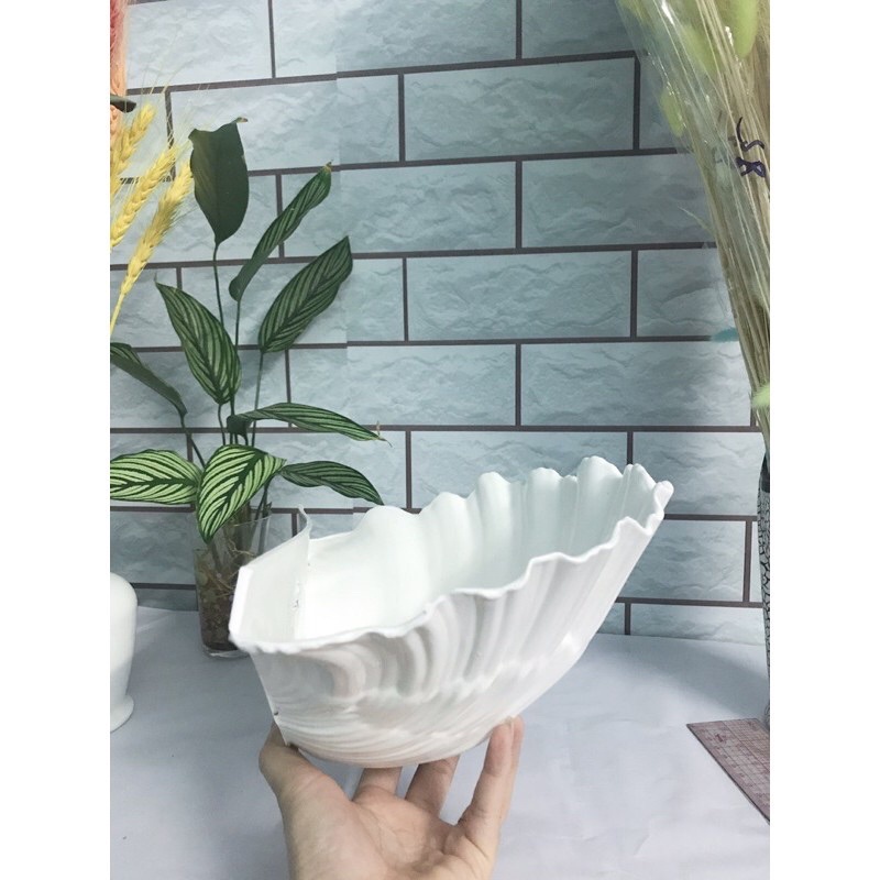 Chậu cây ốp tường hình vỏ sò trắng 30cmx18cm siêu đẹp