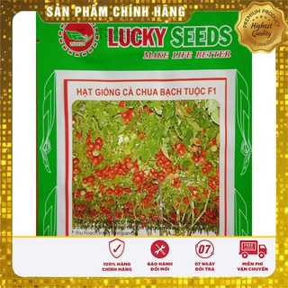 Hạt Giống Cà Chua Leo Giàn (4 hạt)