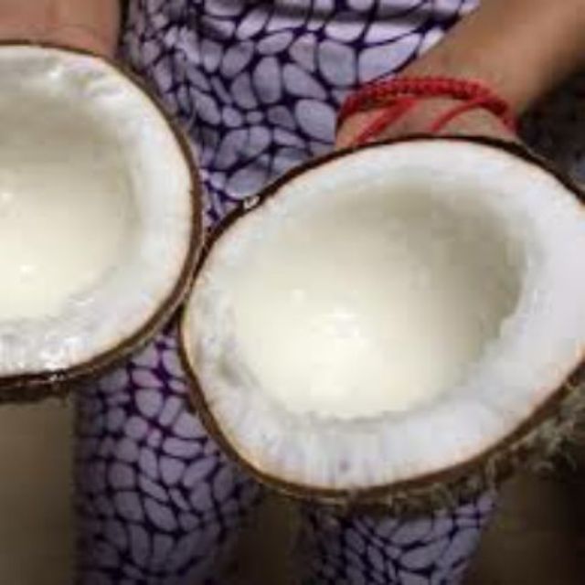 Dừa Sáp Lỏng 3 Cầu Kè-Trà Vinh