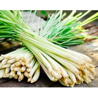 Sả Cây 1Kg | Nghiện Store | Freeship